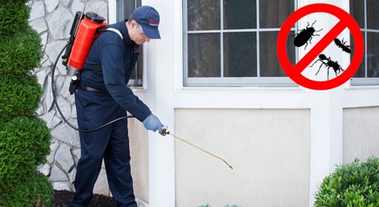 Evka 6 Kemirgen İlaçlama böcek ilaçlama ve haşere kontrolü — ilaclama-tr.com